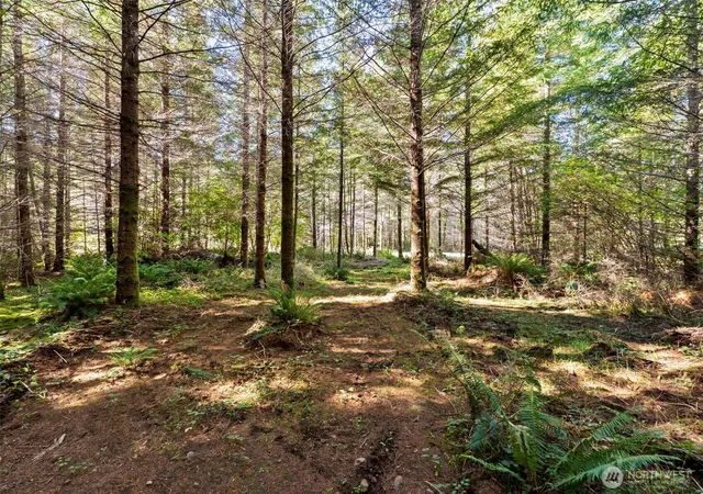 Photo 3 of Land for sale at 115 Barton Way, Ariel, WA 98603 | MLS# NWM2593819 | Listing updated on 2026-10-14