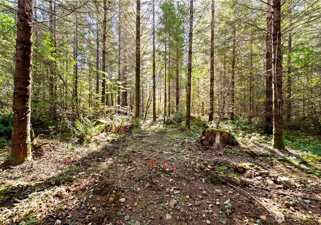 Photo 3 of Land for sale at 115 Barton Way, Ariel, WA 98603 | MLS# NWM2593819 | Listing updated on 2026-10-14