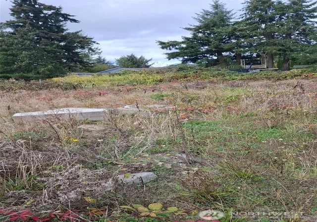 Photo 3 of Land for sale at 4101 King St E, Tacoma, WA 98446 | MLS# NWM2593939 | Listing updated on 2026-10-14