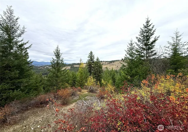 Photo 1 of Land for sale at 91 Edgewood Ln, Curlew, WA 99118 | MLS# NWM2593995 | Listing updated on 2026-10-14