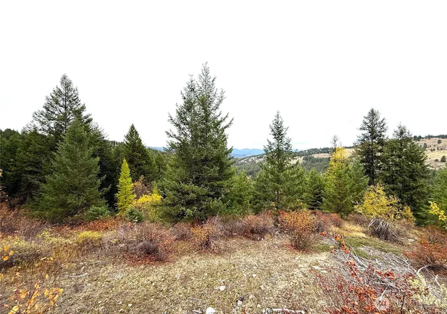 Photo 2 of Land for sale at 91 Edgewood Ln, Curlew, WA 99118 | MLS# NWM2593995 | Listing updated on 2026-10-14