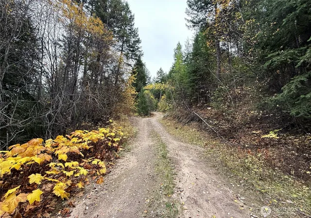 Photo 3 of Land for sale at 91 Edgewood Ln, Curlew, WA 99118 | MLS# NWM2593995 | Listing updated on 2026-10-14