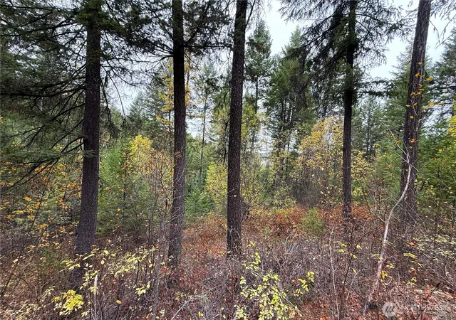 Photo 3 of Land for sale at 91 Edgewood Ln, Curlew, WA 99118 | MLS# NWM2593995 | Listing updated on 2026-10-14