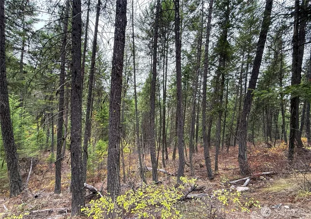 Photo 4 of Land for sale at 91 Edgewood Ln, Curlew, WA 99118 | MLS# NWM2593995 | Listing updated on 2026-10-14