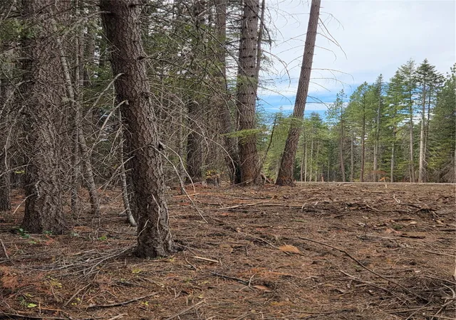 Photo 3 of Land for sale at 14 Rock Cress Ln, Ronald, WA 98940 | MLS# NWM2594065 | Listing updated on 2026-10-22