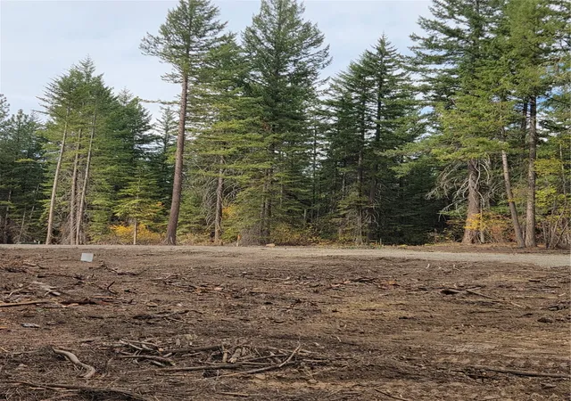 Photo 4 of Land for sale at 14 Rock Cress Ln, Ronald, WA 98940 | MLS# NWM2594065 | Listing updated on 2026-10-22