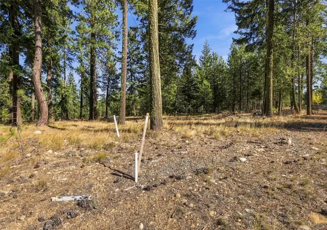 Photo 3 of Land for sale at 71 Gold Leaf Ln, Cle Elum, WA 98922 | MLS# NWM2594168 | Listing updated on 2026-10-17
