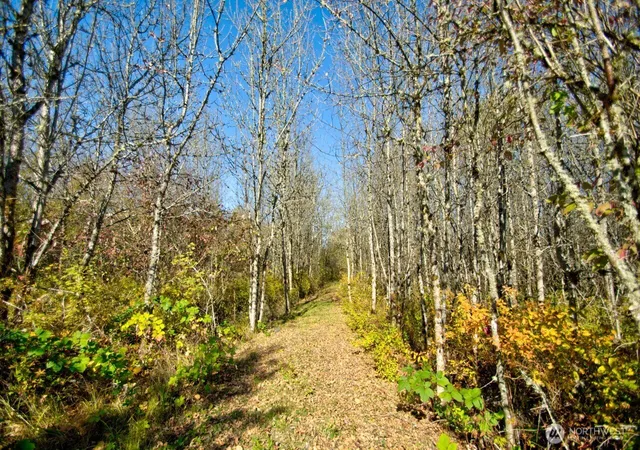 Photo 1 of Land for sale at 110 Frost Rd, Winlock, WA 98596 | MLS# NWM2594174 | Listing updated on 2026-10-14