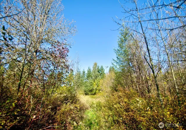 Photo 4 of Land for sale at 110 Frost Rd, Winlock, WA 98596 | MLS# NWM2594174 | Listing updated on 2026-10-14