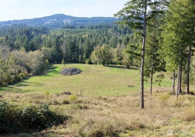 Photo 3 of Land for sale at 33827 NE Lessard Rd, Camas, WA 98607 | MLS# NWM2594203 | Listing updated on 2026-10-14