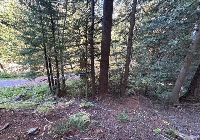 Photo 2 of Land for sale at 87422 NE Old Cascade Hwy, Skykomish, WA 98288 | MLS# NWM2594296 | Listing updated on 2026-10-17