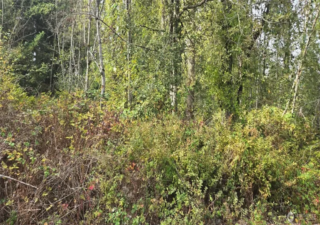 Photo 3 of Land for sale at 12700 16th Avenue SE, Everett, WA 98208 | MLS# NWM2594366 | Listing updated on 2026-10-19