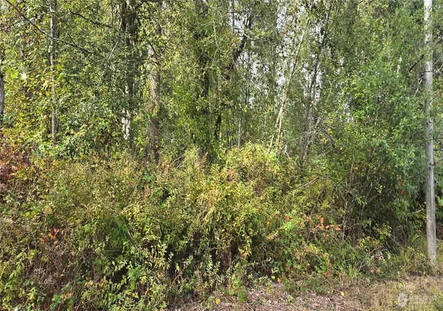 Photo 4 of Land for sale at 12700 16th Avenue SE, Everett, WA 98208 | MLS# NWM2594366 | Listing updated on 2026-10-19