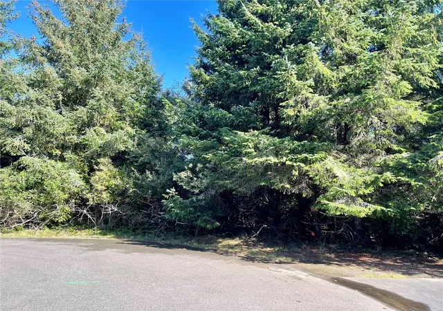 Photo 4 of Land for sale at 344 345 Redwood Ct SE, Ocean Shores, WA 98569 | MLS# NWM2594430 | Listing updated on 2026-10-19