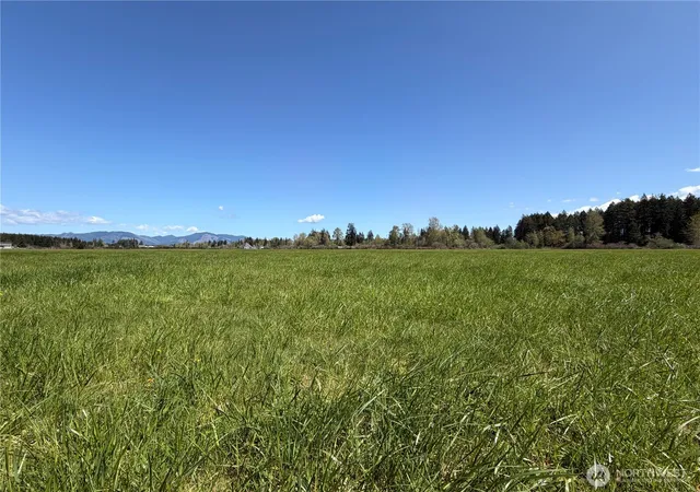 Photo 3 of Land for sale at 0 W Xxx Forest Green Ln, Elma, WA 98541 | MLS# NWM2594543 | Listing updated on 2026-10-14