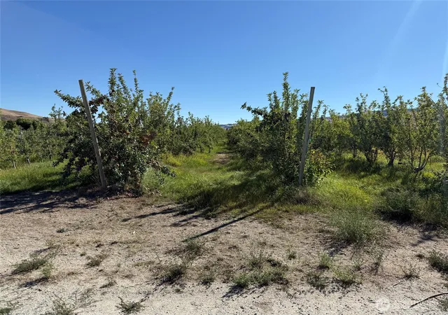 Photo 1 of Land for sale at 20 Dion Dr, Brewster, WA 98812 | MLS# NWM2594586 | Listing updated on 2026-10-14