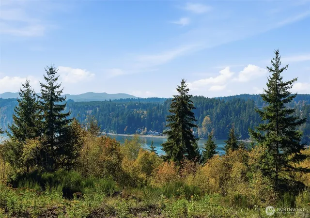Land for sale at 3 E Lone Fir Dr, Shelton, WA 98584 | MLS# NWM2594693