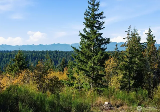 Photo 1 of Land for sale at 3 E Lone Fir Dr, Shelton, WA 98584 | MLS# NWM2594693 | Listing updated on 2026-10-15