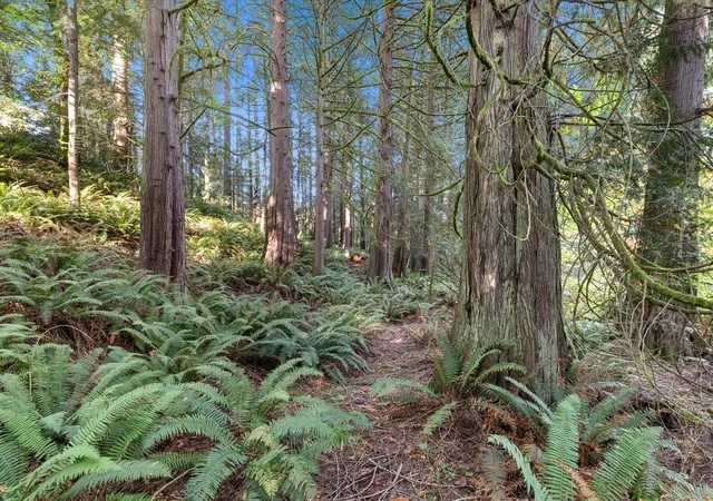 Photo 3 of Land for sale at 21619 139th Place SE, Monroe, WA 98272 | MLS# NWM2594834 | Listing updated on 2026-10-19