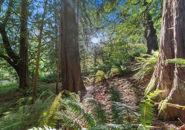 Photo 4 of Land for sale at 21619 139th Place SE, Monroe, WA 98272 | MLS# NWM2594834 | Listing updated on 2026-10-19