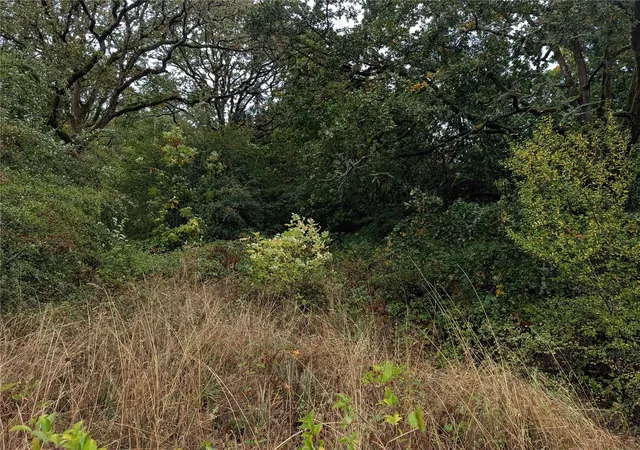 Land for sale at 0 NE Cascade Ave, Chehalis, WA 98532 | MLS# NWM2595418
