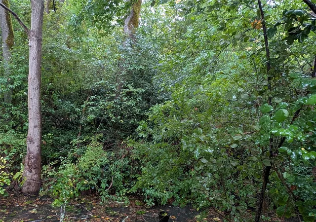 Photo 3 of Land for sale at 0 NE Cascade Ave, Chehalis, WA 98532 | MLS# NWM2595418 | Listing updated on 2026-10-16