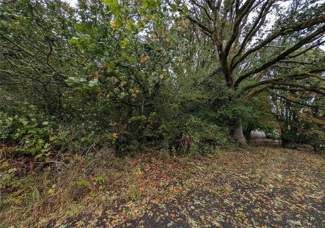 Photo 4 of Land for sale at 0 NE Cascade Ave, Chehalis, WA 98532 | MLS# NWM2595418 | Listing updated on 2026-10-16