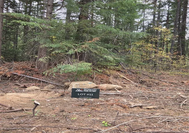 Photo 3 of Land for sale at 11 Rock Cress Ln, Ronald, WA 98940 | MLS# NWM2595424 | Listing updated on 2026-10-22