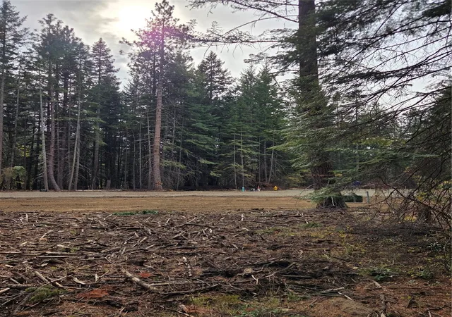 Photo 4 of Land for sale at 11 Rock Cress Ln, Ronald, WA 98940 | MLS# NWM2595424 | Listing updated on 2026-10-22
