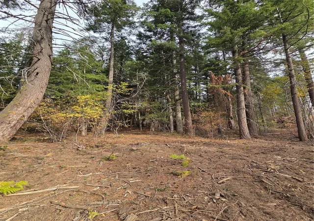 Photo 3 of Land for sale at 8 Rock Cress Ln, Ronald, WA 98940 | MLS# NWM2595442 | Listing updated on 2026-10-22