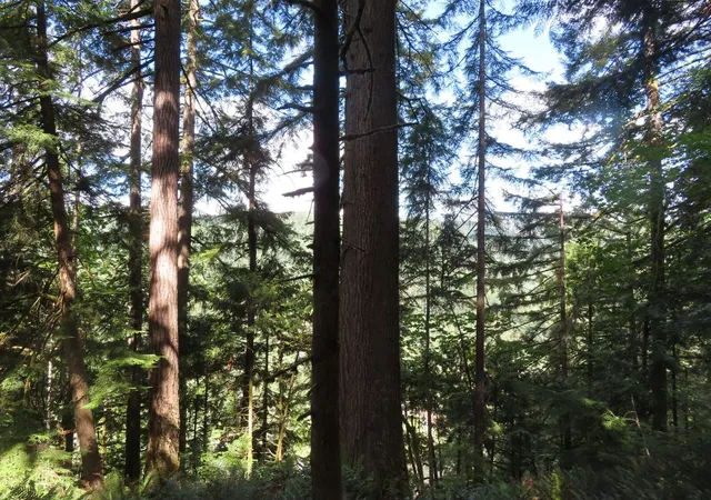 Photo 2 of Land for sale at 0 Fallert Rd, Kalama, WA 98625 | MLS# NWM2595456 | Listing updated on 2026-10-20