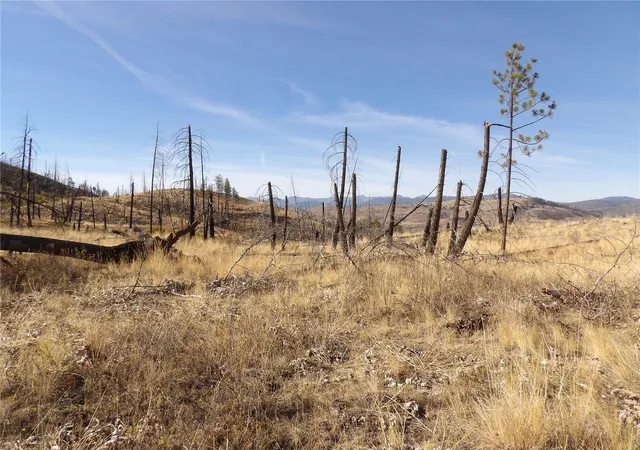 Photo 2 of Land for sale at 0 Tbd Stillwater Hl Rd, Tonasket, WA 98855 | MLS# NWM2595509 | Listing updated on 2026-10-16