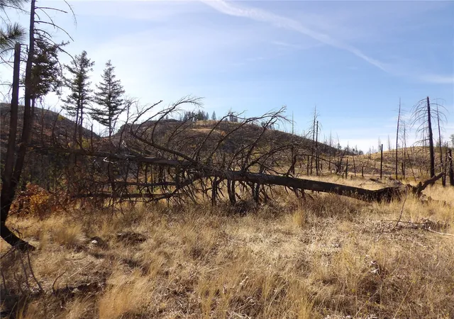 Photo 3 of Land for sale at 0 Tbd Stillwater Hl Rd, Tonasket, WA 98855 | MLS# NWM2595509 | Listing updated on 2026-10-16