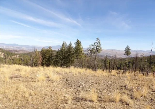 Photo 3 of Land for sale at 0 Tbd Stillwater Hl Rd, Tonasket, WA 98855 | MLS# NWM2595509 | Listing updated on 2026-10-16