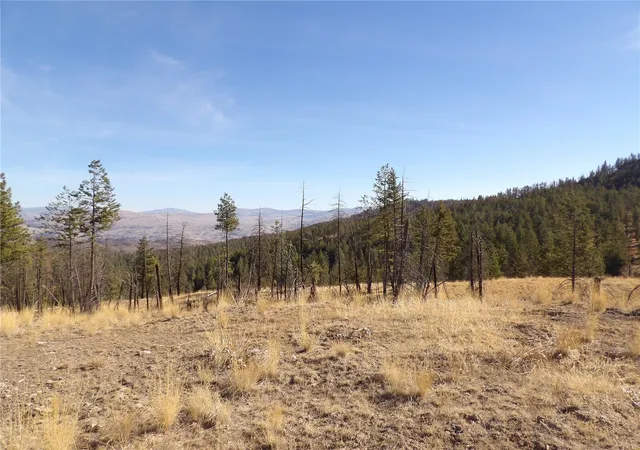 Photo 4 of Land for sale at 0 Tbd Stillwater Hl Rd, Tonasket, WA 98855 | MLS# NWM2595509 | Listing updated on 2026-10-16