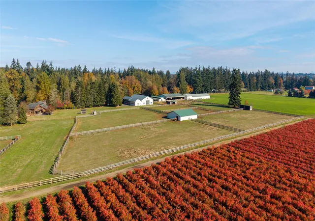 Single family home for sale at 8848 Stein Rd, Custer, WA 98240 | MLS# NWM2595582