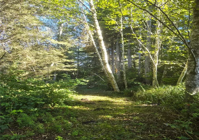 Photo 2 of Land for sale at 2810 230th Lane, Ocean Park, WA 98640 | MLS# NWM2595705 | Listing updated on 2026-10-20