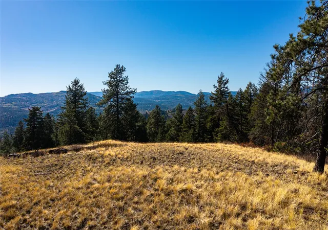 Photo 3 of Land for sale at 0 E Knob Hl Rd, Republic, WA 99166 | MLS# NWM2595963 | Listing updated on 2026-10-20