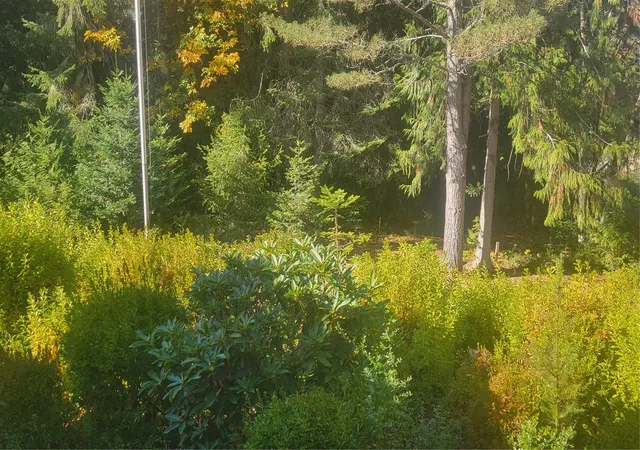 Photo 4 of Single family home for sale at 4245 Rose Valley Rd, Kelso, WA 98626 | MLS# NWM2596370 | Listing updated on 2026-10-23