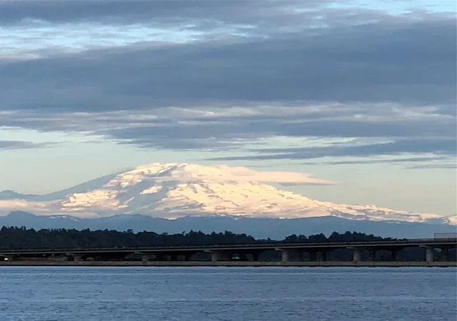 Condo for sale at 334 Lakeside Ave S #406, Seattle, WA 98144 | MLS# NWM2597112