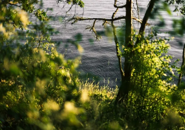 Photo 2 of Land for sale at 267 Arbel Way, Bellingham, WA 98229 | MLS# NWM2597407 | Listing updated on 2026-10-26
