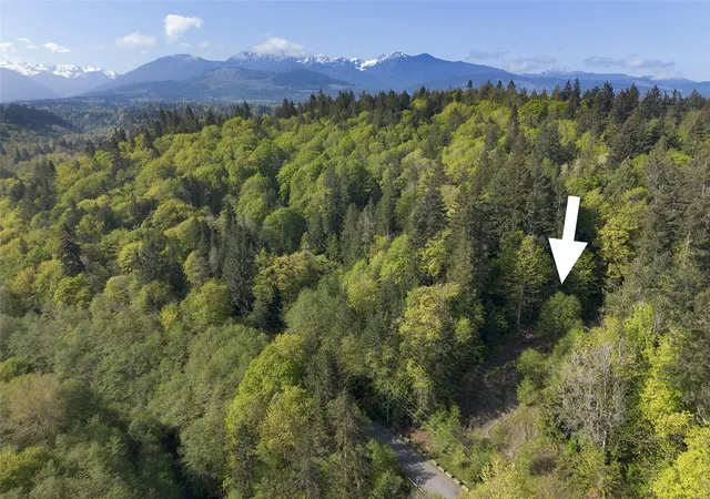 Land for sale at 9999 Cottonwood Ln, Port Angeles, WA 98362 | MLS# NWM2597427