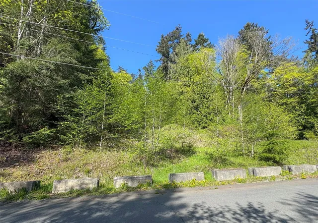 Photo 4 of Land for sale at 9999 Cottonwood Ln, Port Angeles, WA 98362 | MLS# NWM2597427 | Listing updated on 2026-10-23