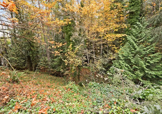 Photo 3 of Single family home for sale at 231 E Elderberry Ln, Port Angeles, WA 98362 | MLS# NWM2597827 | Listing updated on 2026-10-26