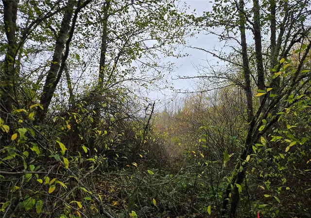 Land for sale at 9999 Highway 101, Sequim, WA 98382 | MLS# NWM2597888