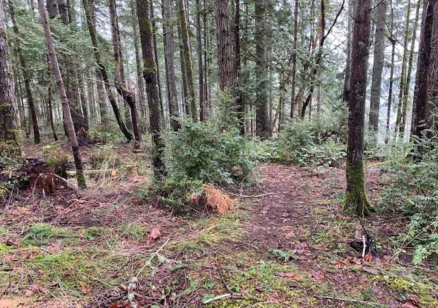 Photo 4 of Land for sale at 0 Elk St, Shelton, WA 98584 | MLS# NWM2598352 | Listing updated on 2026-10-26
