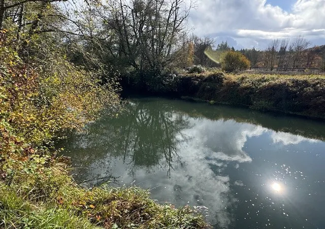 Photo 4 of Manufactured home for sale at 20032 Bucoda Hwy SE, Centralia, WA 98531 | MLS# NWM2599109 | Listing updated on 2026-10-29