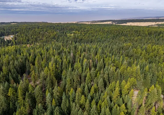 Photo 2 of Land for sale at 77875 Cold Springs Loop, Weston, OR 97886 | MLS# NWM2599154 | Listing updated on 2026-10-28