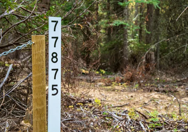 Photo 3 of Land for sale at 77875 Cold Springs Loop, Weston, OR 97886 | MLS# NWM2599154 | Listing updated on 2026-10-28