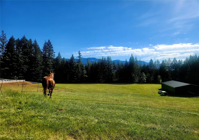 Photo 3 of Single family home for sale at 162 Bylin Rd, Stevenson, WA 98648 | MLS# NWM2599332 | Listing updated on 2026-10-29